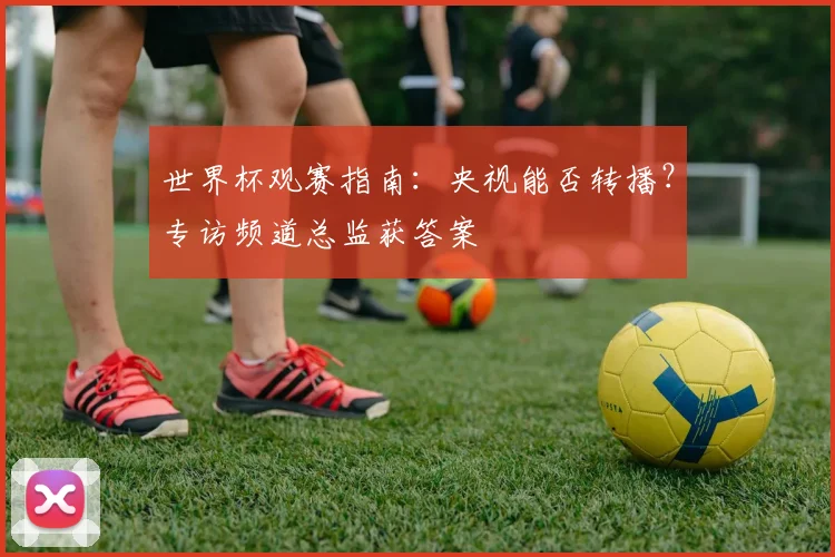 世界杯观赛指南：央视能否转播？专访频道总监获答案