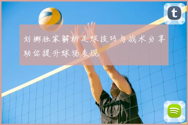刘娜独家解析足球技巧与战术分享助你提升球场表现