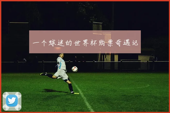一个球迷的世界杯购票奇遇记