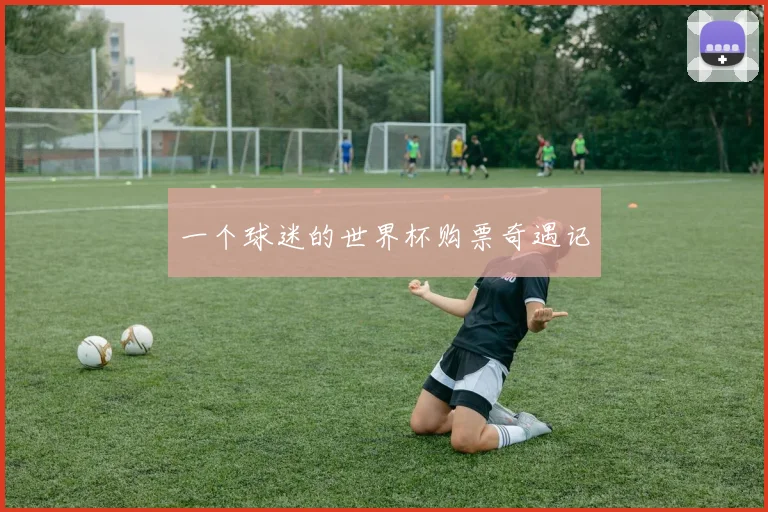一个球迷的世界杯购票奇遇记