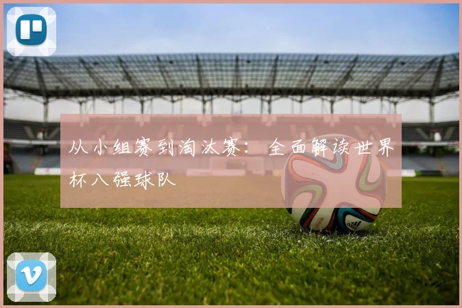 从小组赛到淘汰赛：全面解读世界杯八强球队